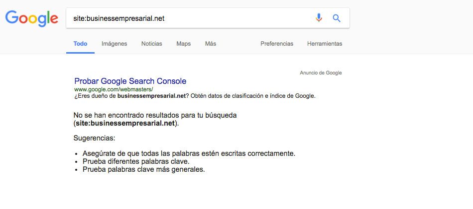 businessempresarial busqueda google