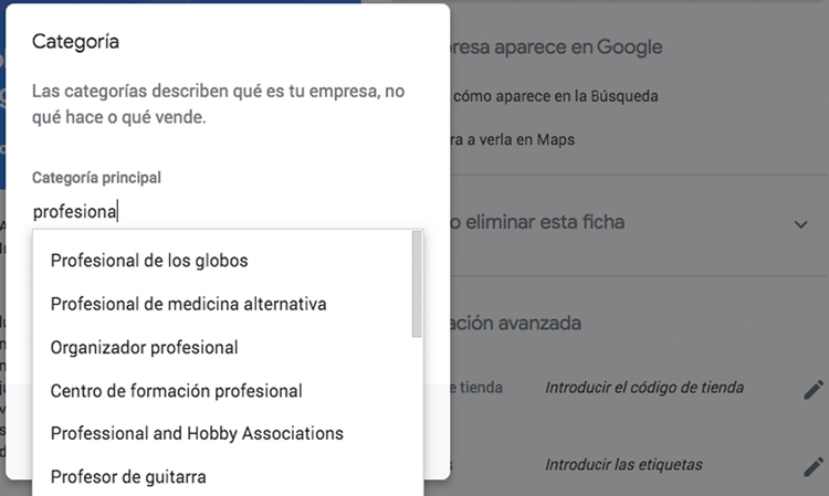 categorias google my business tips