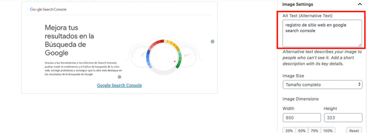 optimizacion de etiquetas at text (Texto alterno)