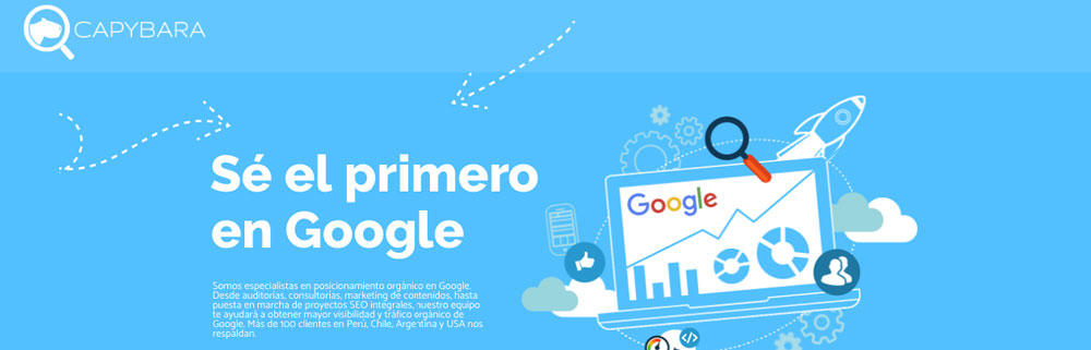 capybara-seo-agencia-posicionamiento-web-peru