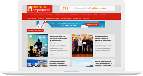 business-empresarial-portal-web